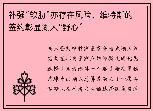 补强“软肋”亦存在风险，维特斯的签约彰显湖人“野心”