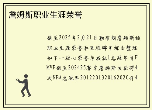 詹姆斯职业生涯荣誉